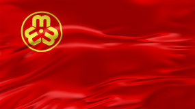 4k妇联旗帜_视频loop循环视频素材