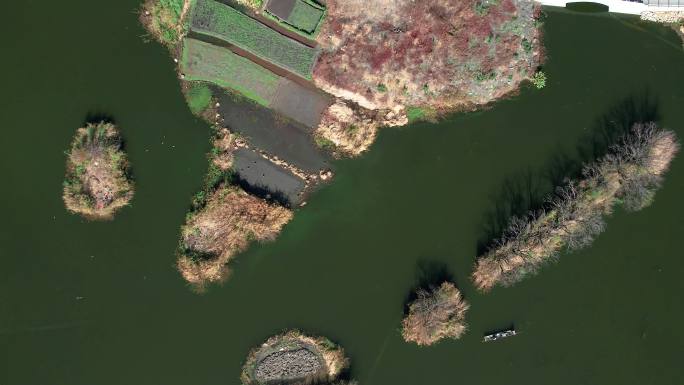 4K高清大理西湖的水面农田和民居低飞俯拍