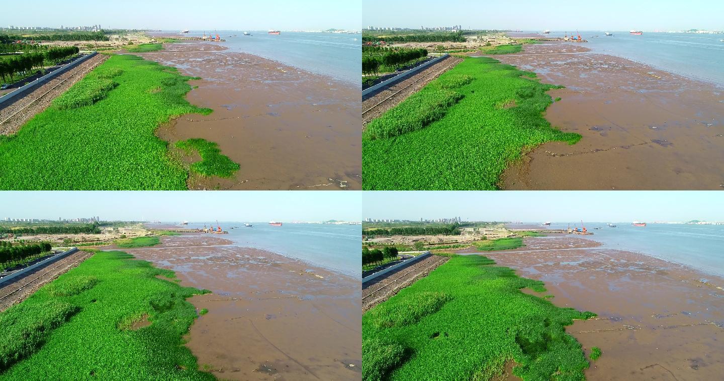 长江沿线边滩淤泥