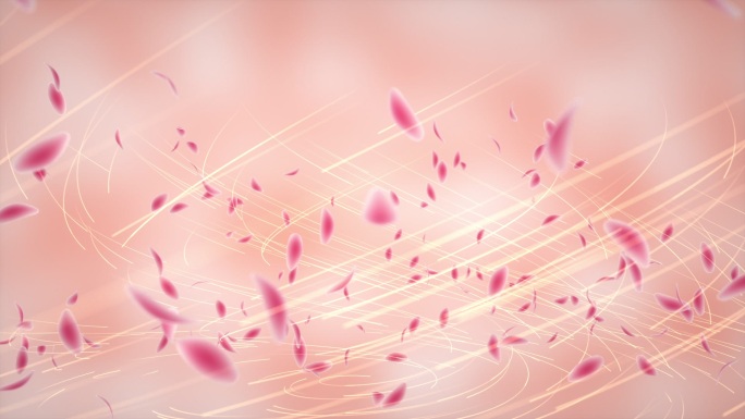 风中螺旋盘旋飞舞的粉色玫瑰花瓣动态素材