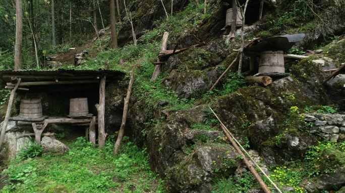 4K湖南湘西野生土蜂蜂桶04