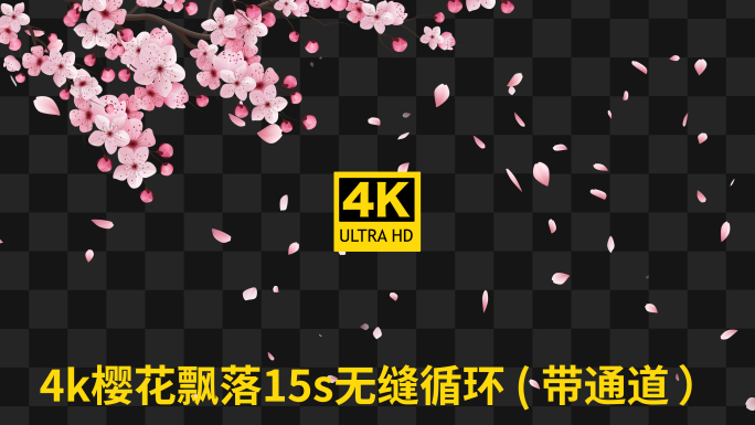 4k梦幻樱花枝摇曳