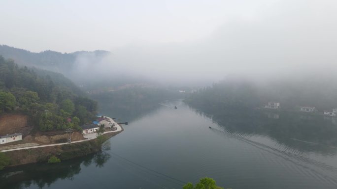 自然生态高山云雾茶园茶叶 绿水青山