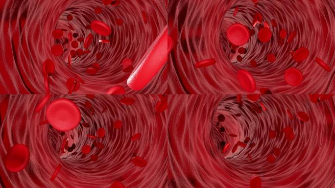 静脉中流动的红细胞