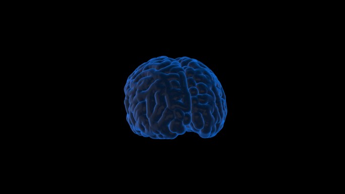 4K光影3D大脑旋转通道循环