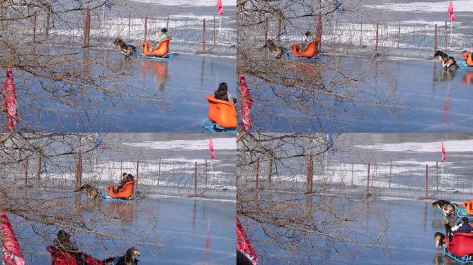 网红冰车滑冰冰刀雪场紫竹院公园 (2)