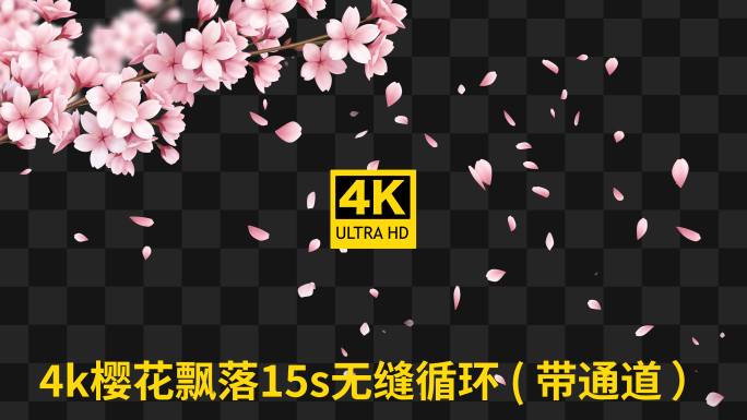 4k浪漫樱花飘落带通道