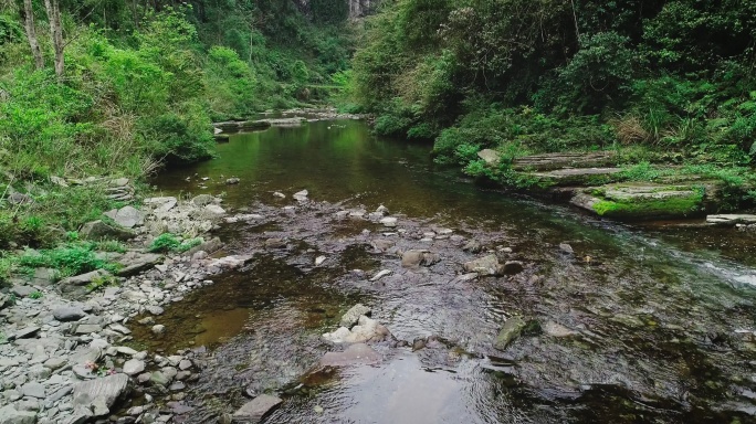 4K南方春天的山涧溪水小河01