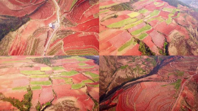 云南昆明东川红土地航拍大自然调色盘