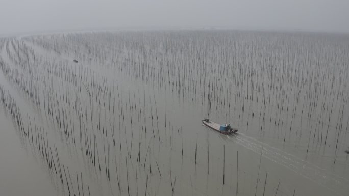 霞浦滩涂航拍