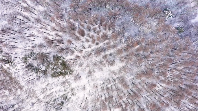 4k航拍恩施雪山雾凇风光