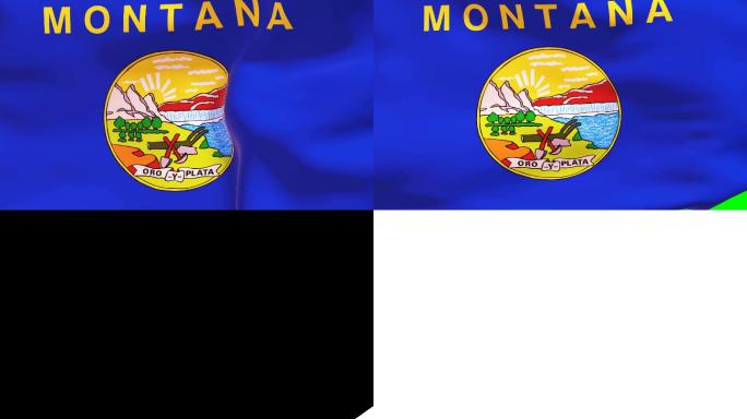 蒙大拿州旗帜国外外国国旗飘扬飞扬