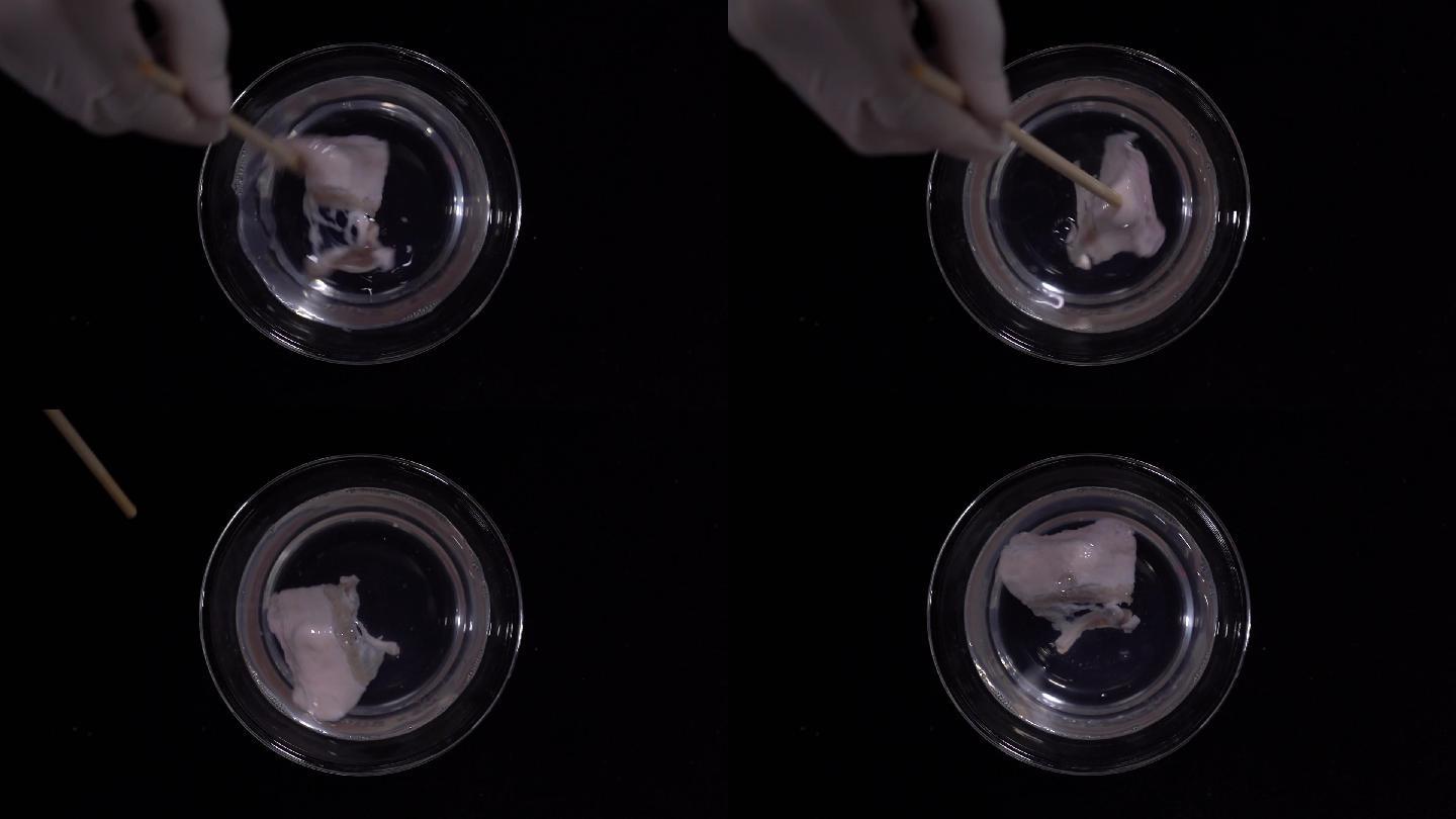酸性液体腐蚀肉类实验 (1)