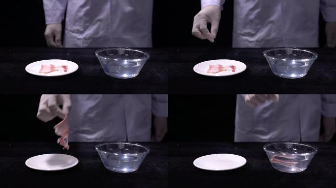 酸性液体腐蚀肉类实验 (2)