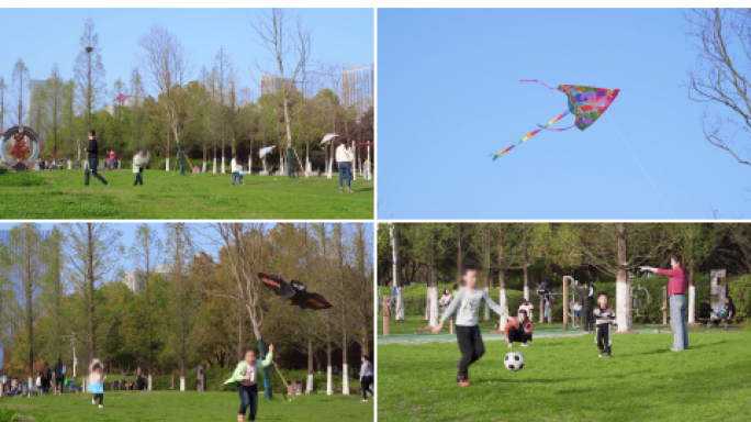 公园放风筝 踢足球