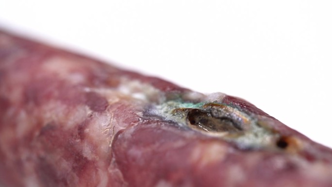 微距解剖香肠肉质腊肠熏肉 (4)