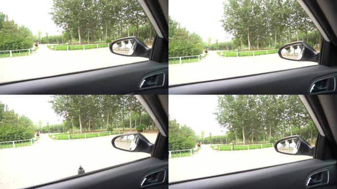 司机开车驾驶员调整后视镜挂挡 (1)