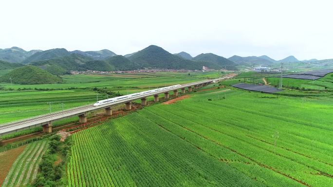 高铁、烟地 烟叶 种植