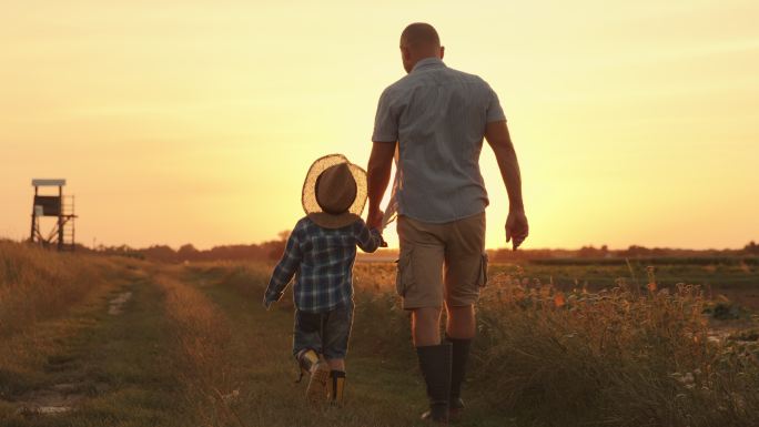 父子在田野里散步婴儿亲子互动陪伴家庭温馨