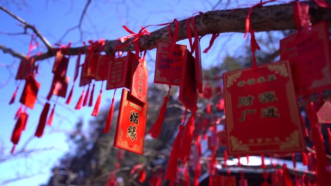 4K实拍河南老君山5A级风景区A