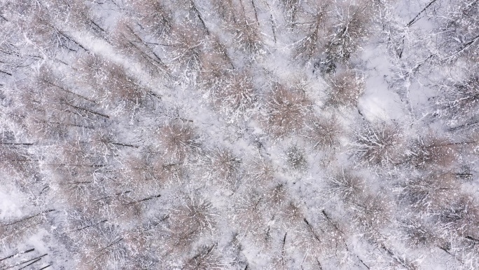 4k航拍恩施雪山雾凇风光