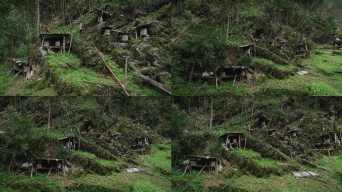 4K湖南湘西野生土蜂蜂桶01