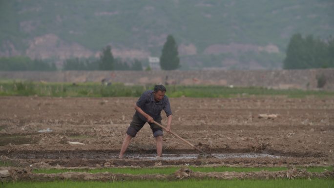 灌溉田地的农民