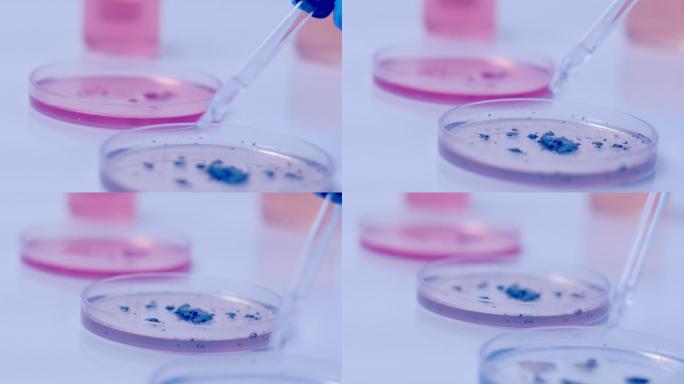 临床实验室生物技术研发研制调配