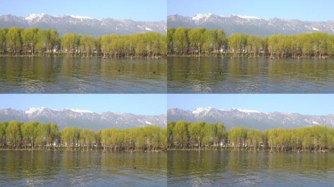 雪山绿树湖泊生态环境