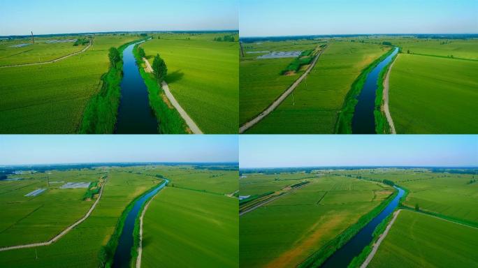 航拍生态农田河流水灌溉