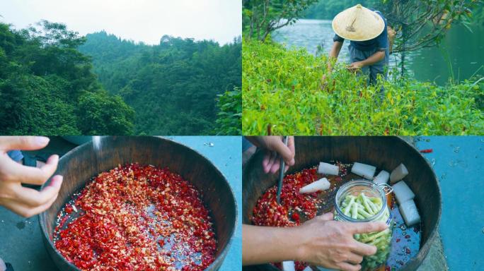 摘辣椒 做泡菜 剁椒 腌菜 酸豇豆