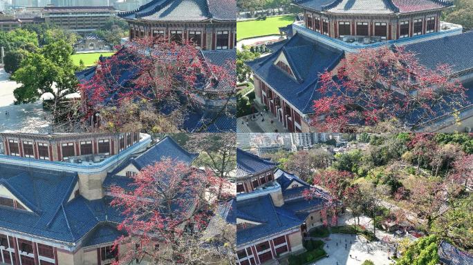 航拍广州中山纪念堂全貌木棉树（御3）
