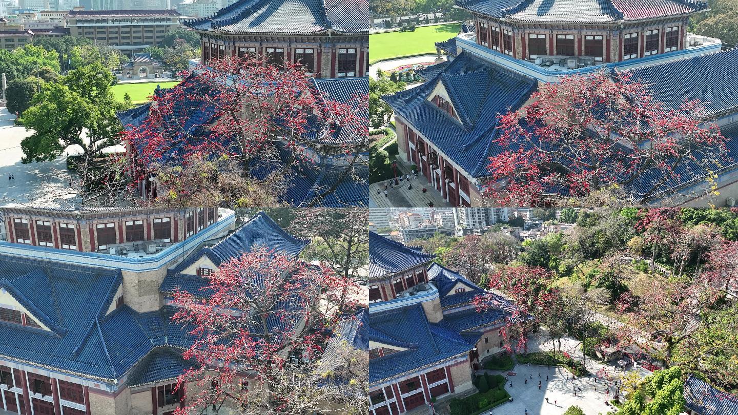 航拍广州中山纪念堂全貌木棉树（御3）