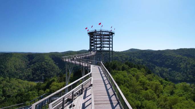 黄龙树顶漫步风景区全貌