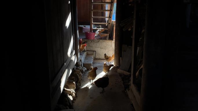 乡村气息农家楼梯间是鸡群踱步玩耍的游乐园
