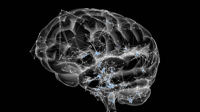 旋转的大脑脑部构造图模拟脑神经元元宇宙