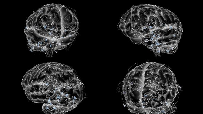 旋转的大脑脑部构造图模拟脑神经元元宇宙