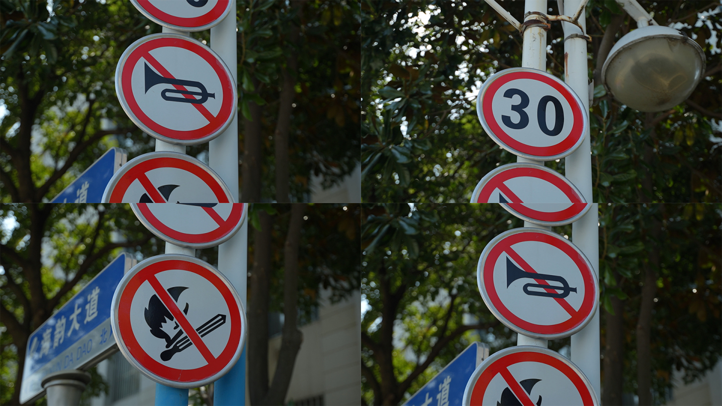 路标指示 限速30 禁止鸣笛 禁止明火