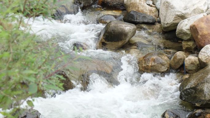 林间小溪水流