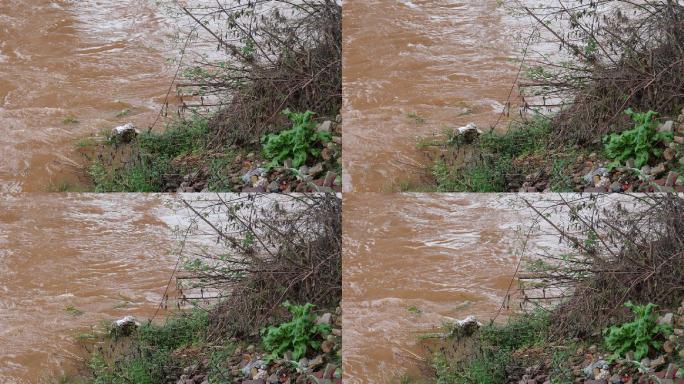 雨后的河流 视频素材 高清晰 2