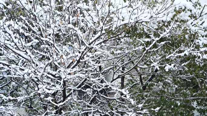 小镇下雪素材