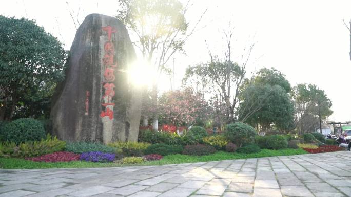 梅花  超山 航拍 特写