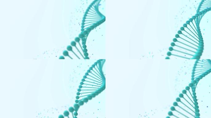 DNA分子螺旋生物化学基础分子结构密码