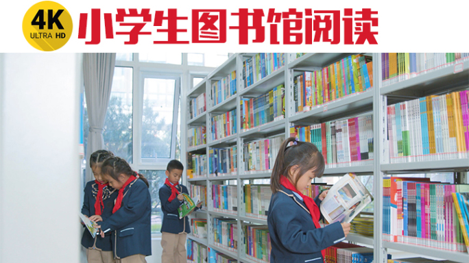 小学生图书馆阅读