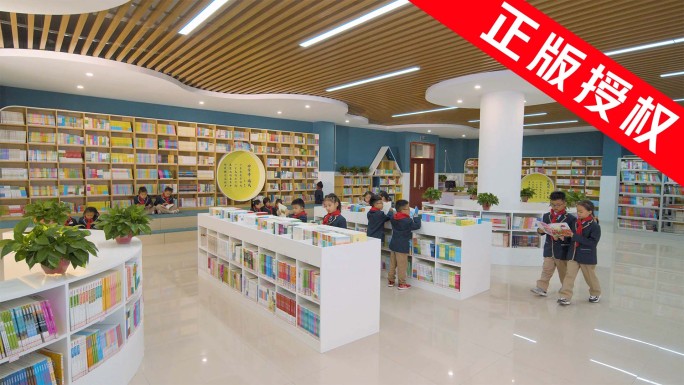 小学生图书馆阅读