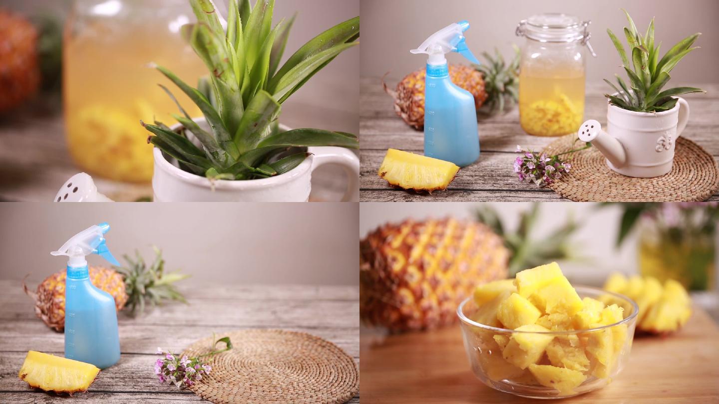 【镜头合集】各种菠萝加工品
