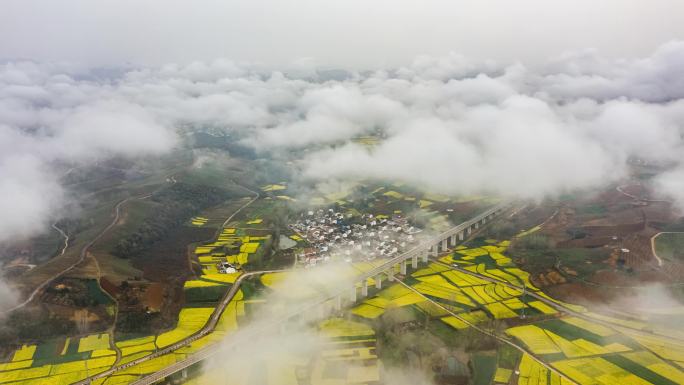 汉中洋县油菜花云海航拍延时4K