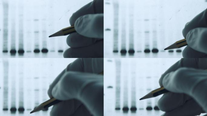 医学研究基因片段序列生物工程疾病研发