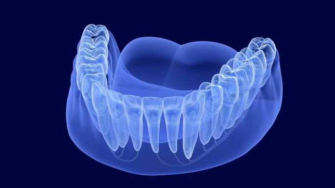 牙科3D动画牙床下颚牙龈