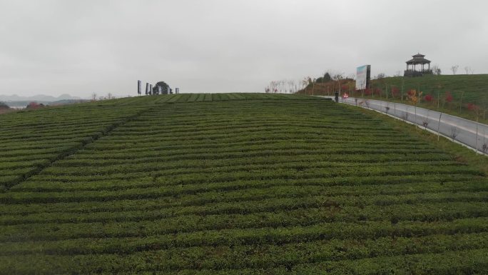 航拍茶山低空直飞